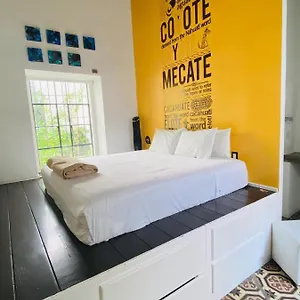 Kuku Ruku 3*, Querétaro México